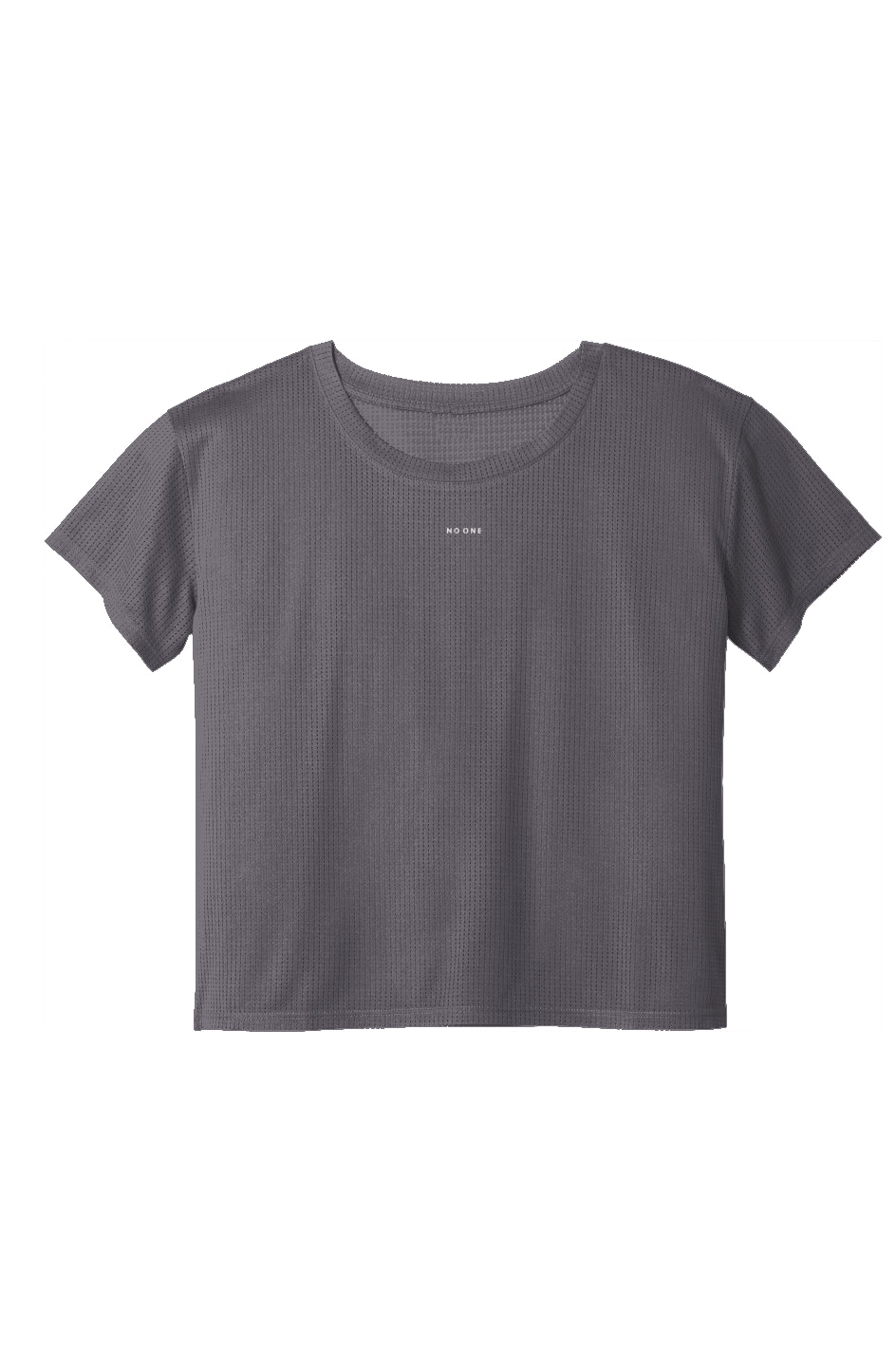 Women's No One Jersey Mesh Crop Tee Gray