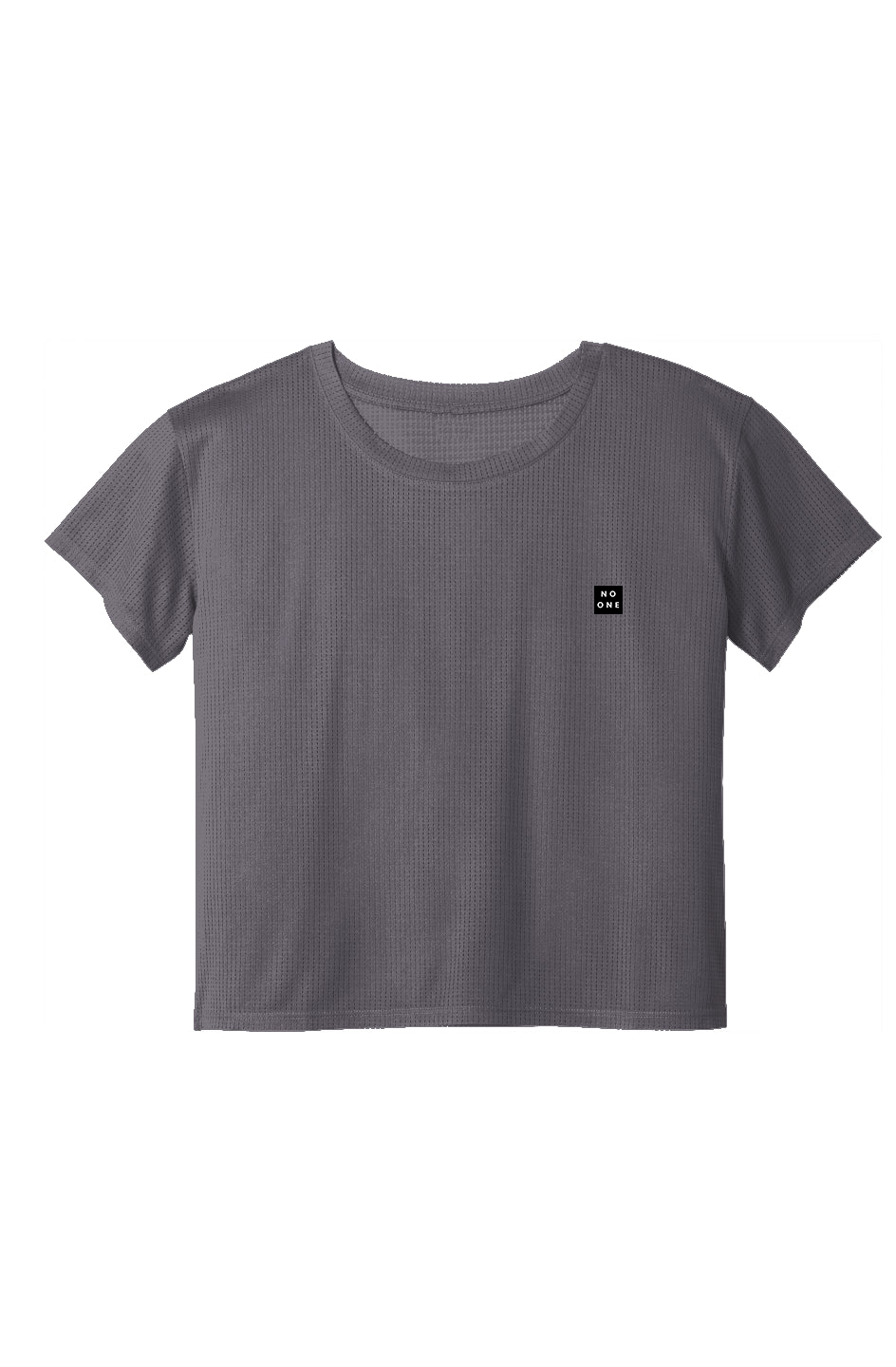 Women's No One Jersey Mesh Patch Crop Tee Gray